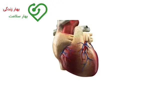   جراحی ترمیم دریچه قلب برای درمان روماتیسم قلبی به چه صورت است؟ 