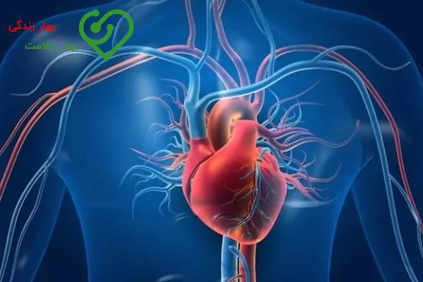 انواع مختلف نارسایی قلبی انواع مختلف نارسایی قلبی