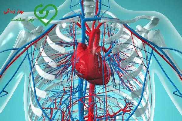 علائم و نشانههای نارسایی قلبی علائم و نشانههای نارسایی قلبی