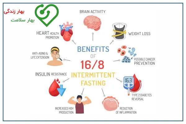    بهترین روش برای شروع رژیم فستینگ 16 8 چیست؟ 