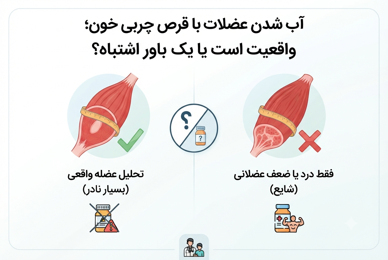 تاثیر قرص چربی خون روی عضلات؛ هر آنچه باید درباره استاتین‌ها بدانید