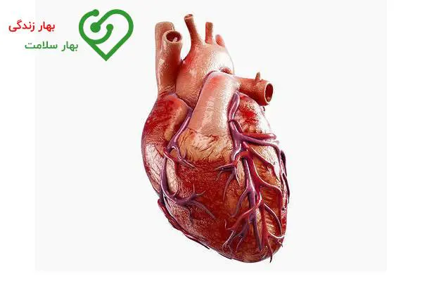 ارتباط قلب با بروز واریس