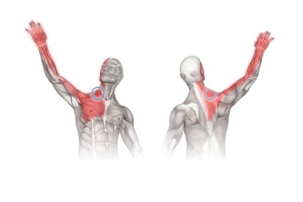 احساس فشار و تنگی در قفسه سینه: علت درد دست چپ از بازو تا انگشتان 